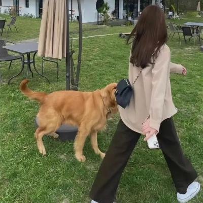 傀儡